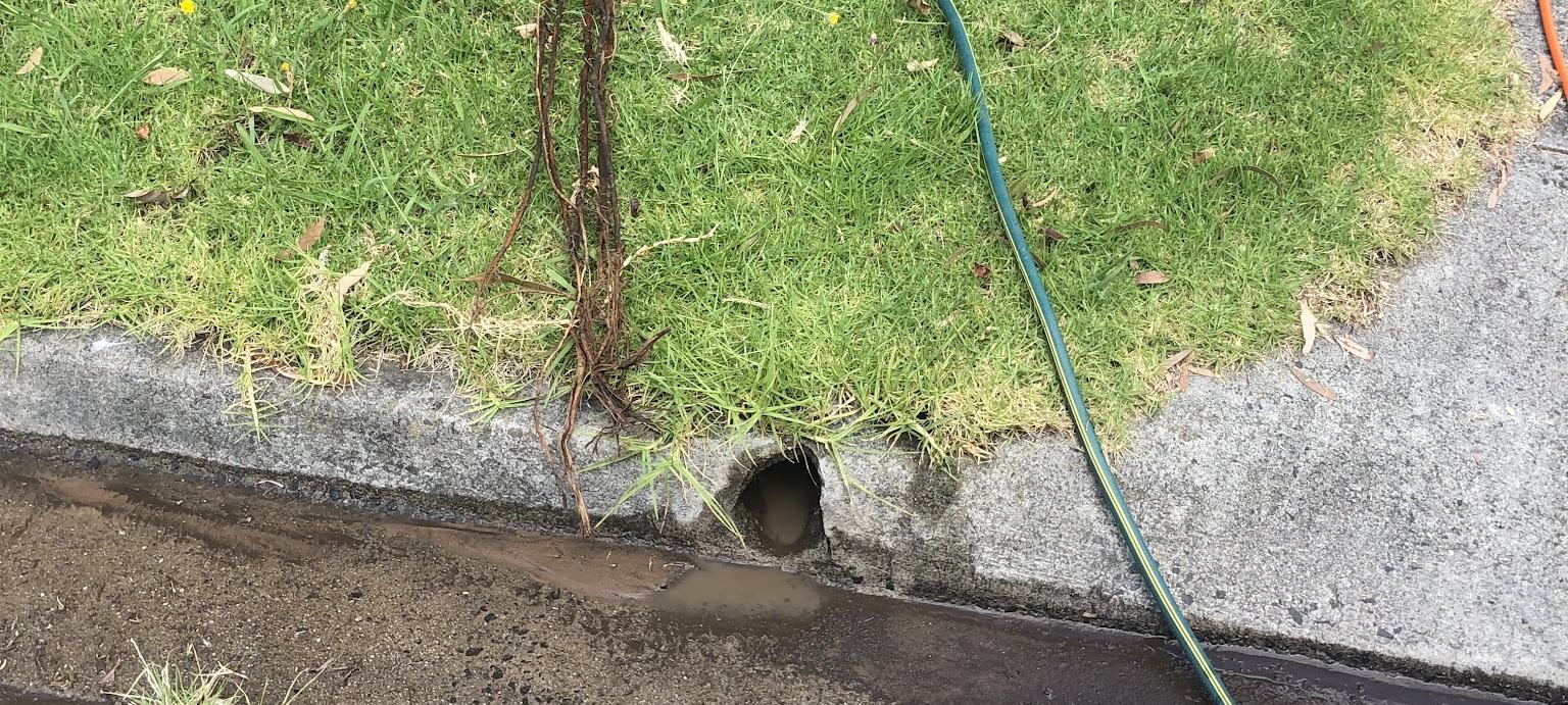 Tree roots pulled from a Ballarat street drain