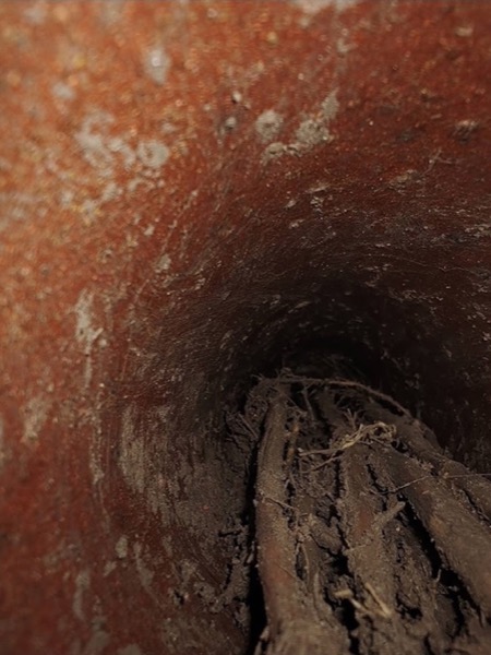 A plug of tree roots inside an old clay drain pipe